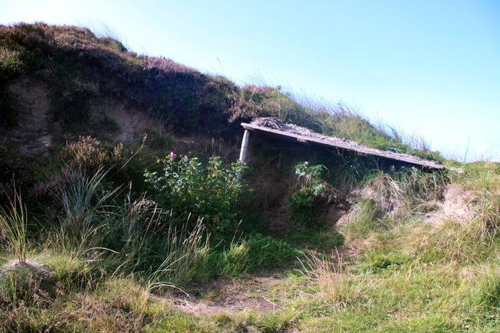 Morsum Kliff 10.jpg - So baut man Dünen.